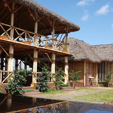 Spykee Spot Hampi Otel Dış mekan fotoğraf
